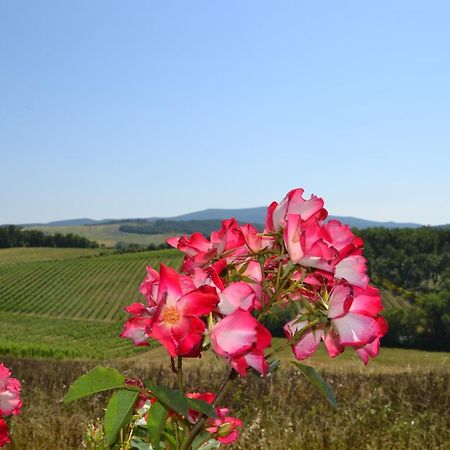 Agriturismo Cignanbianco Castellina in Chianti Exterior foto